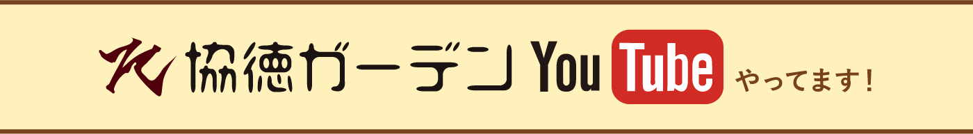 YOUTUBE見出し